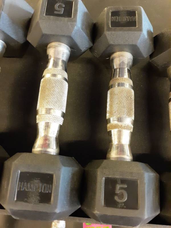 lot 1568 image: Set of Hampton 5 Lb Hand weights