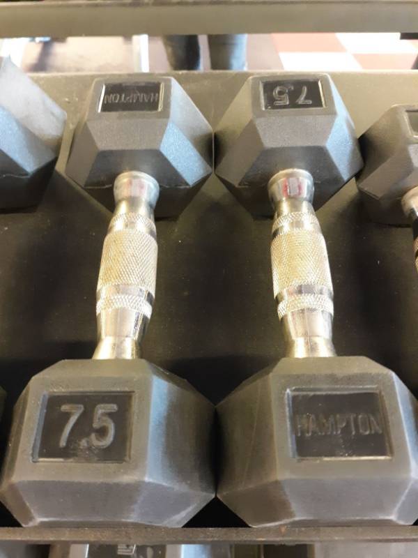 lot 1569 image: Set of Hampton 7.5 Lb Hand weights
