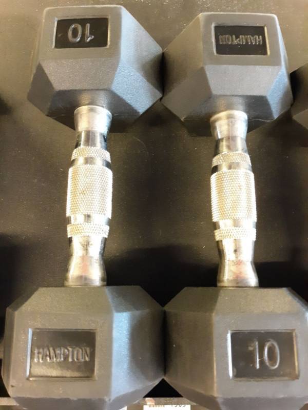 lot 1570 image: Set of Hampton 10 Lb Hand weights