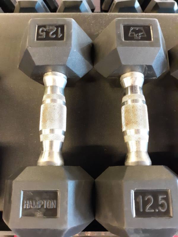 lot 1571 image: Set of Hampton 12.5 Lb Hand weights