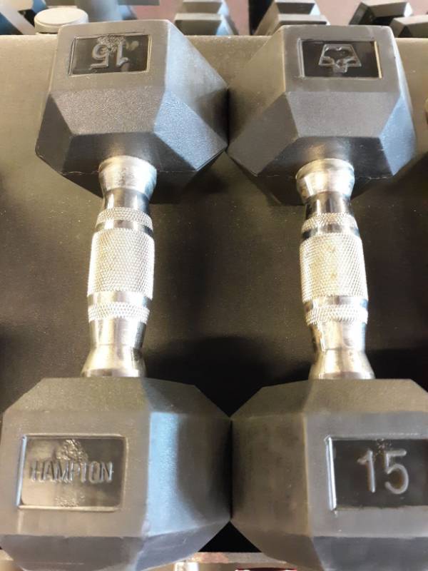 lot 1572 image: Set of Hampton 15 Lb Hand weights