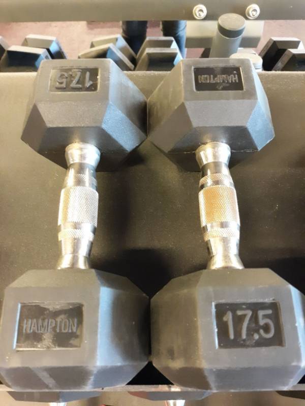 lot 1573 image: Set of Hampton 17.5 Lb Hand weights