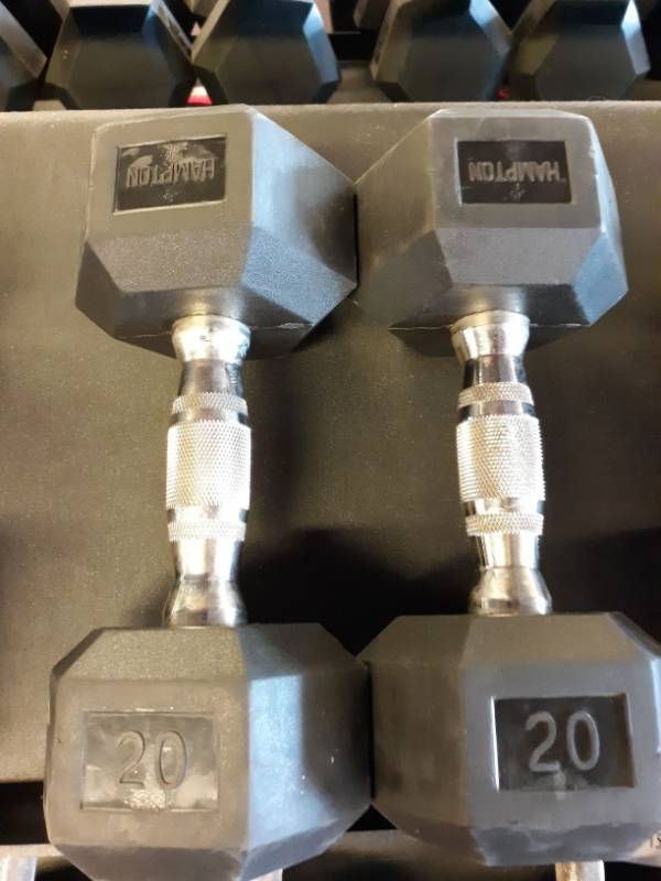 lot 1574 image: Set of Hampton 20Lb Hand weights