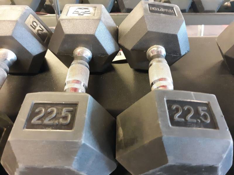 lot 1575 image: Set of Hampton 22.5 Lb Hand weights