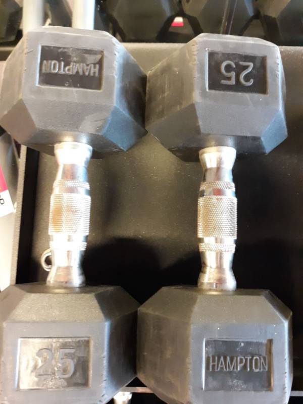 lot 1576 image: Set of Hampton 25 Lb Hand weights