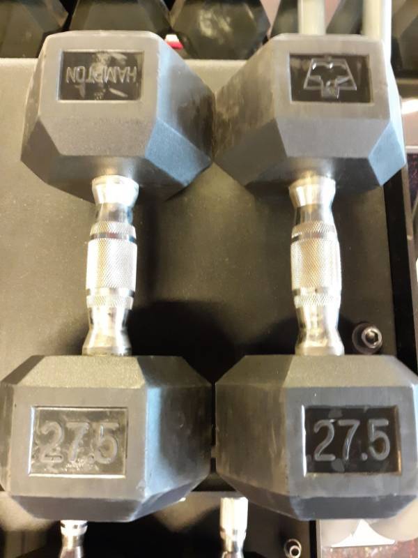 lot 1577 image: Set of Hampton 27.5 Lb Hand weights