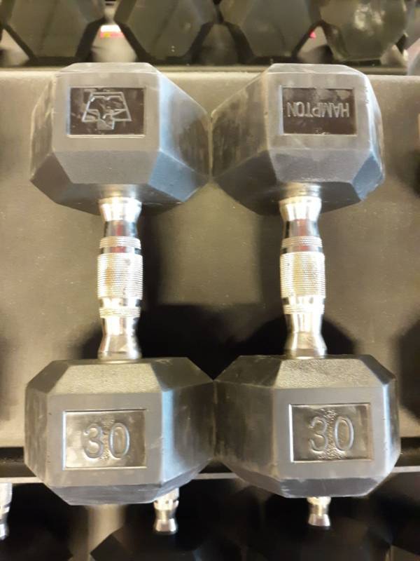 lot 1578 image: Set of Hampton 30Lb Hand weights