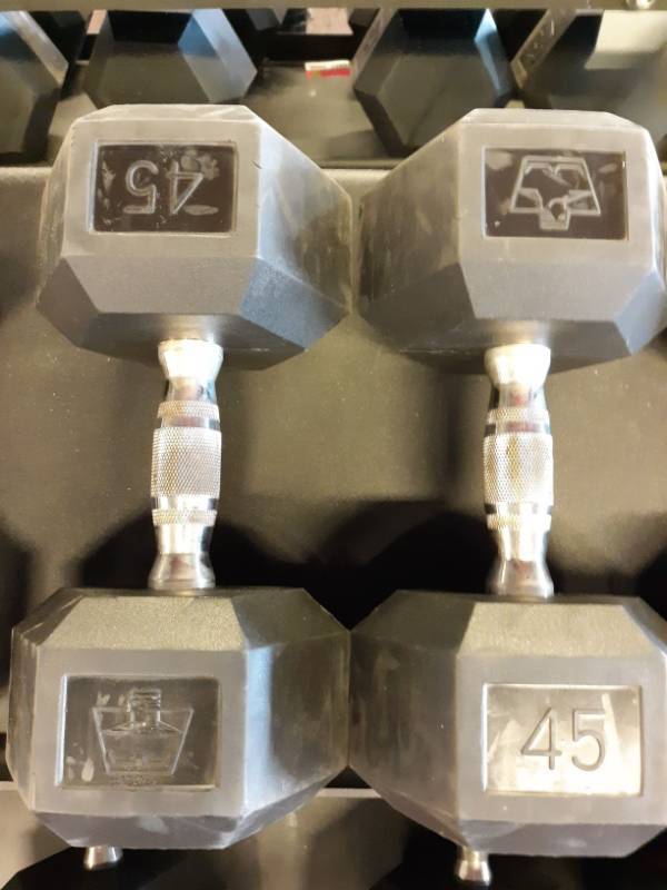 lot 1582 image: Set of Hampton 45 Lb Hand weights