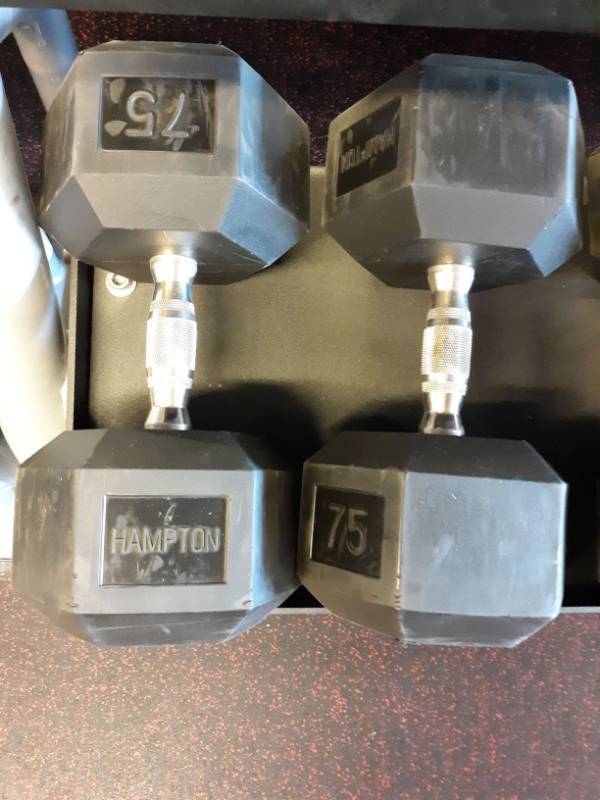 lot 1589 image: Set of Hampton 75 Lb Hand weights
