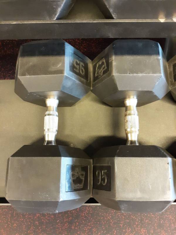 lot 1593 image: Set of Hampton 95 Lb Hand weights