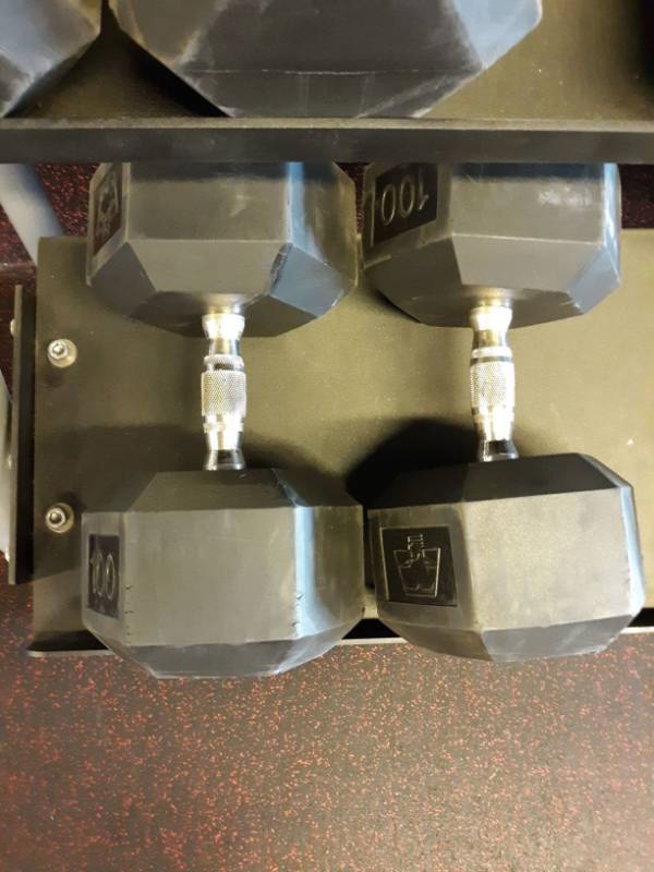 lot 1594 image: Set of Hampton 100 Lb Hand weights