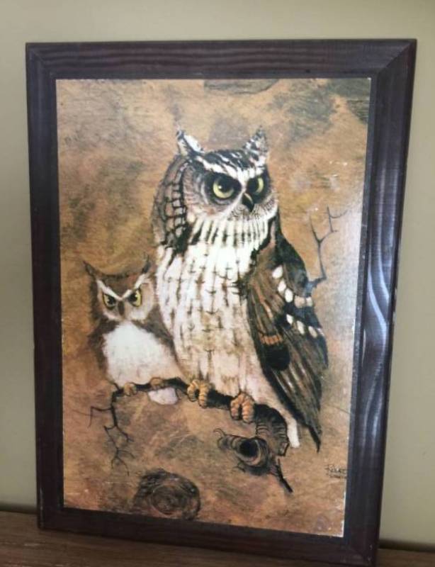 lot 2061 image: Framed Owls on wood Vintage wall decor