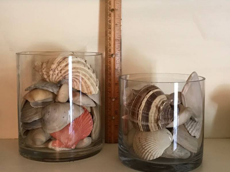 lot 2186 image: 2 Small Glass Huricanes and Beach Shells