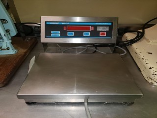 lot 6173 image: Doran Digital Scale 8000