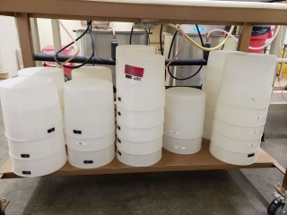 lot 6494 image: Lot of 35 (6QT) Plastic Mixing Containers