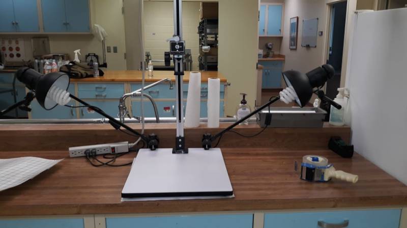 lot 7539 image: Copy Stand w Dual Lighting, Black