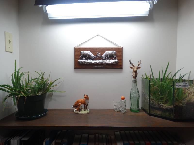 lot 5557 image: Lot of various home decor items