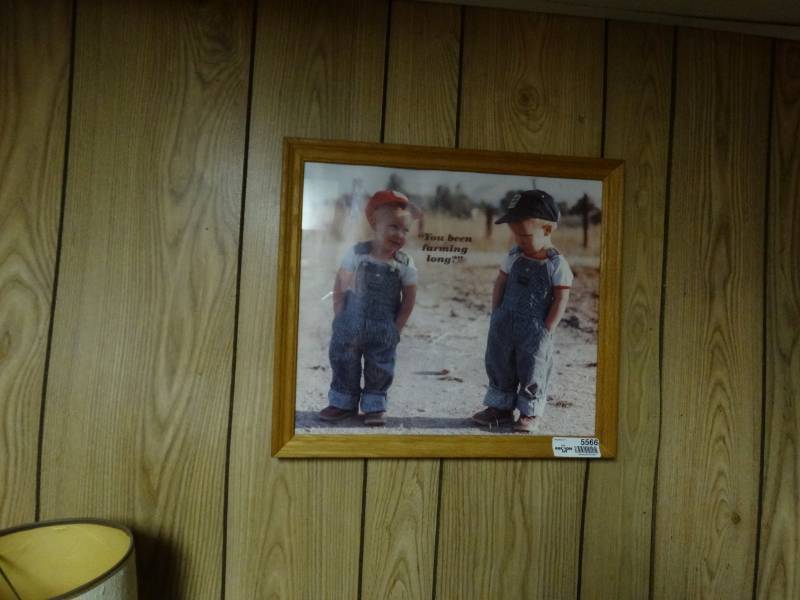 lot 5566 image: 2 framed wall art pieces