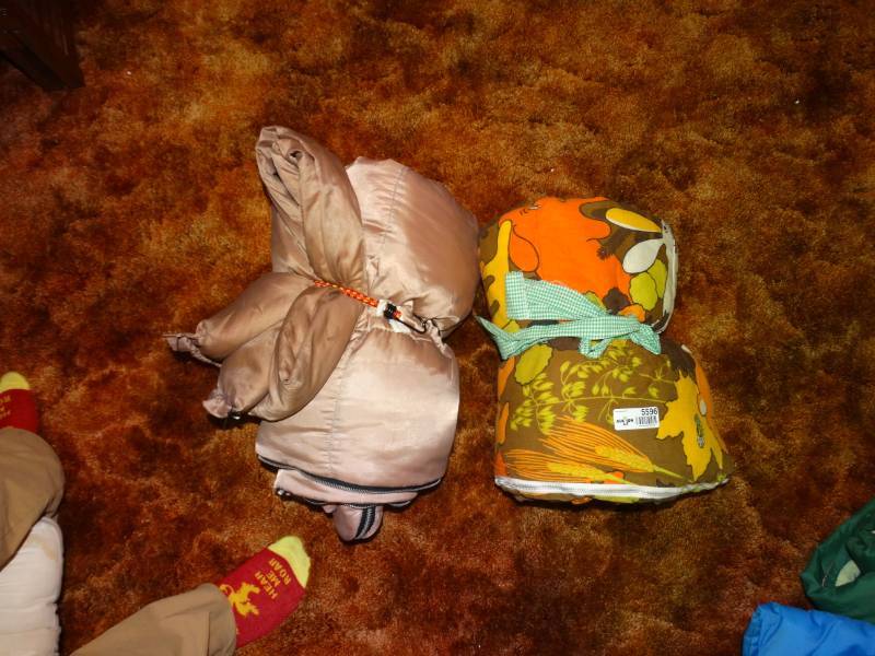 lot 5596 image: 2 sleeping bags