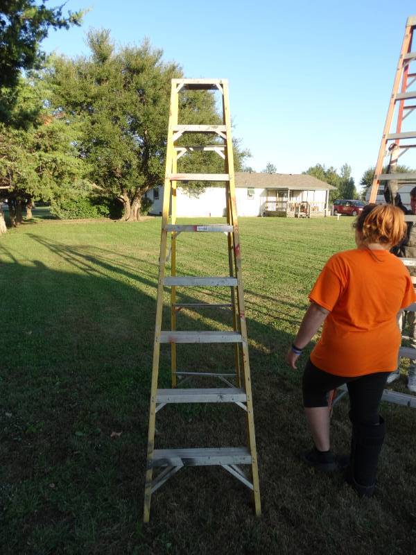 lot 5761 image: Folding ladder
