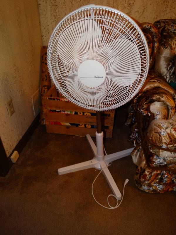 lot 5971 image: Oscillating Floor Fan