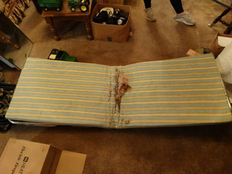 lot 5981 image: Folding Guest bed