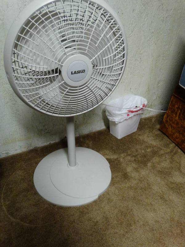 lot 6000 image: Lasko Three speed pedestal fan