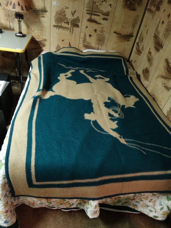 lot 6006 image: Cowboy blanket