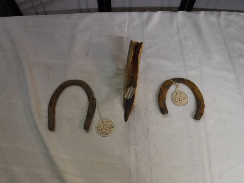 lot 8231 image: Horse shoes found in Big horn Mountains on lake Helen Wy in 1982