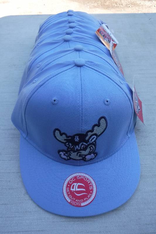lot 7435 image: Lot of 10 OC Sports Minor League baseball team hats- Wilmington Blue Rocks