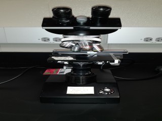 lot 7270 image: Fisher Scientific Microscope, Black, 120V