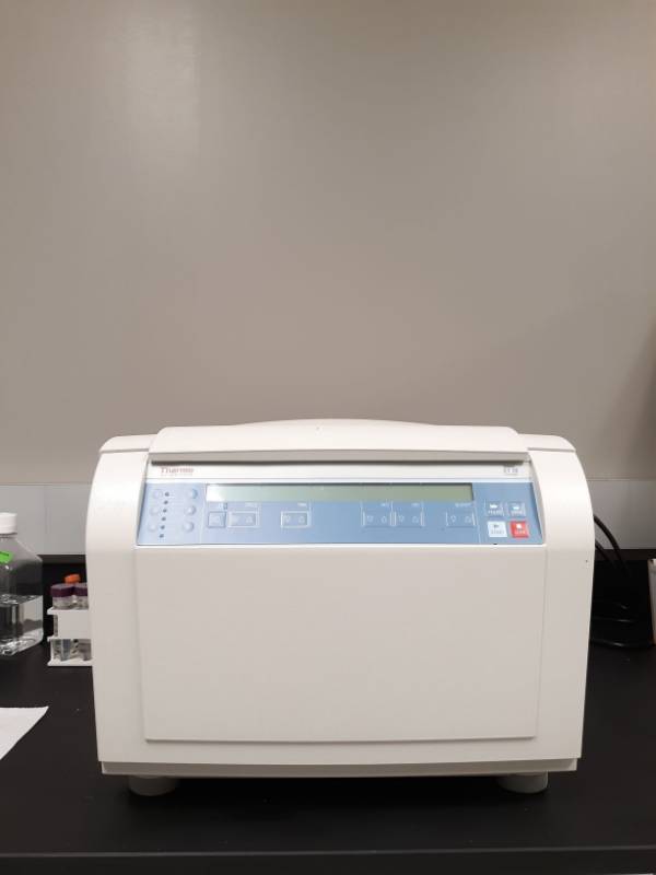 lot 7439 image: Thermo Fisher Scientific Sorvall ST16 Centrifuge