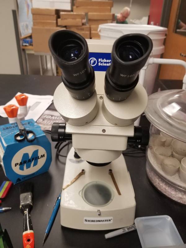 lot 7486 image: Fisher Scientific WF10X Microscope