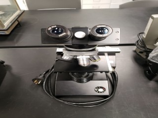 lot 7310 image: Fischer Scientific No 22518 Microscope