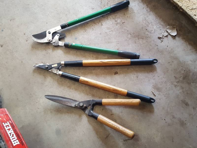 lot 3583 image: Loppers and Clippers - One has Extending Handles