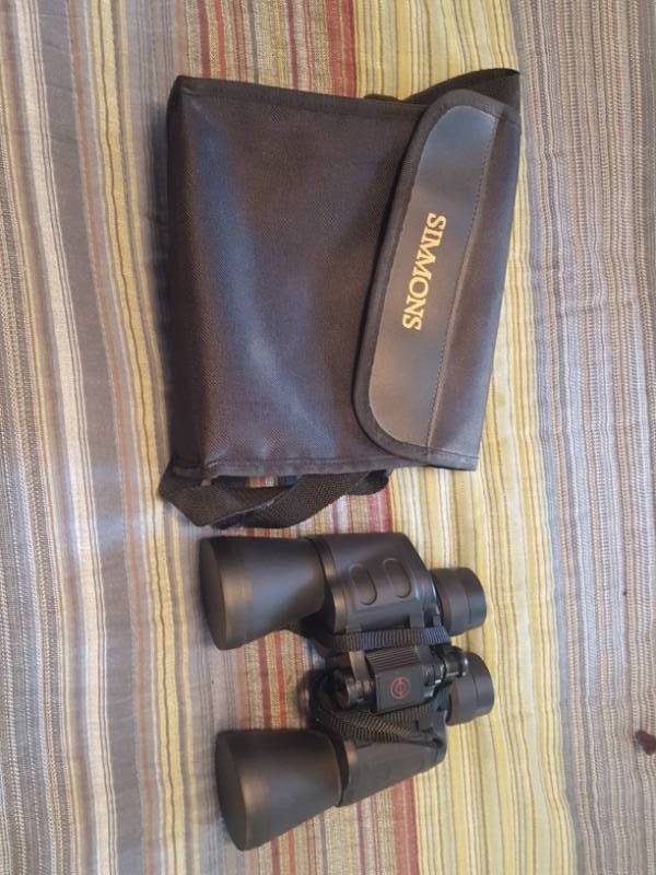 lot 3809 image: Simmons 10x50 Binoculars