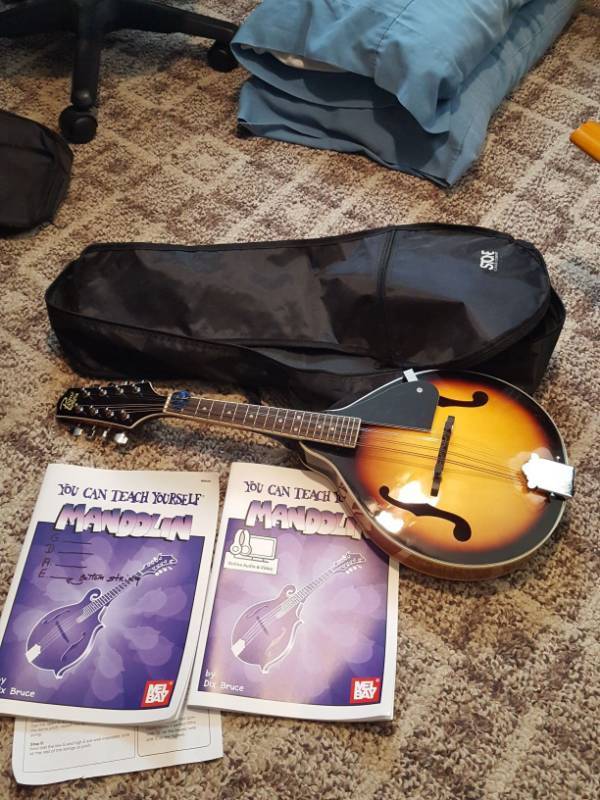 lot 3848 image: Rogue Mandolin in case