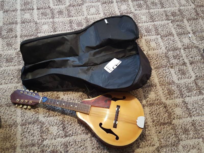 lot 3856 image: Mandolin in Case