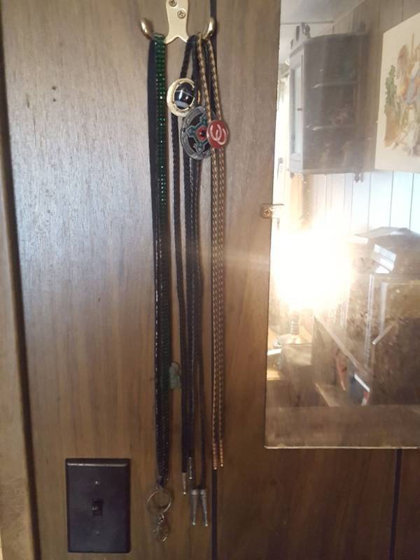 lot 3913 image: Bolo Ties