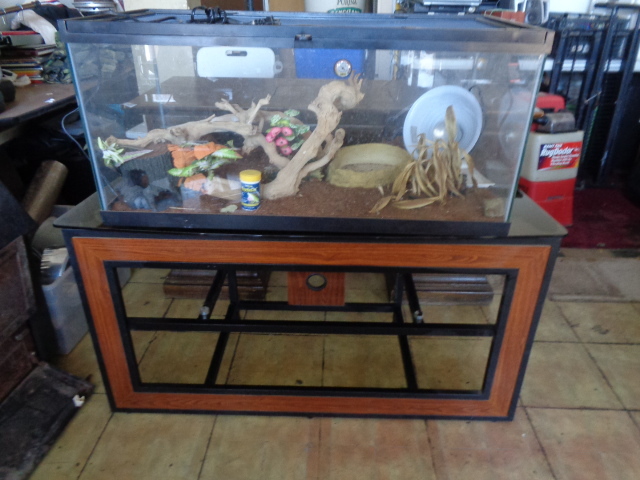 lot 8802 image: Terrarium wHeat Pad, Heat Lamp, & Accessories