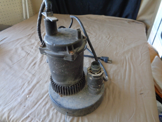 lot 8810 image: Sump Pump