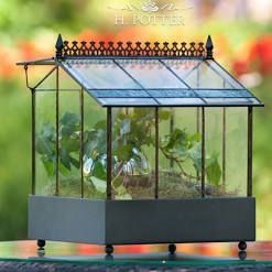 lot 10754 image: H Potter Glass Terrarium Wardian Case, New