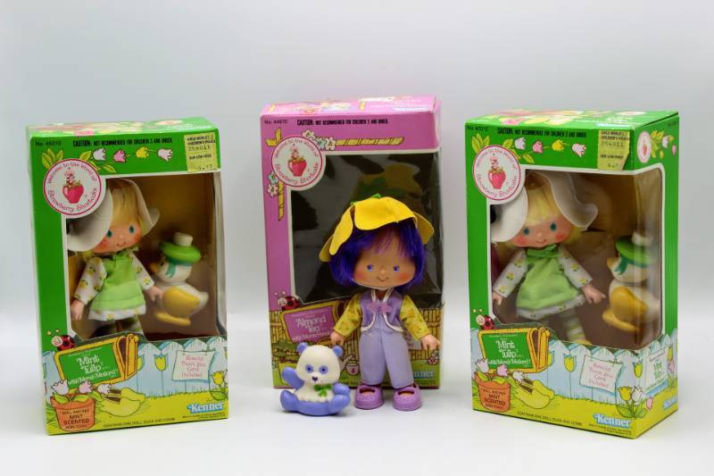 lot 1890 image: 3 Strawberry Shortcake Dolls, 2 New in Box Mint Tulip Dolls, and 1 Almond Tea with Marza Panda, Box included