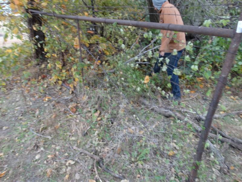 lot 2999 image: Metal frame farm gate