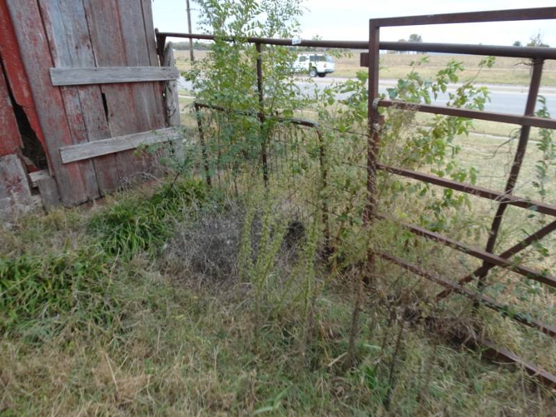 lot 7954 image: Metal farm gate