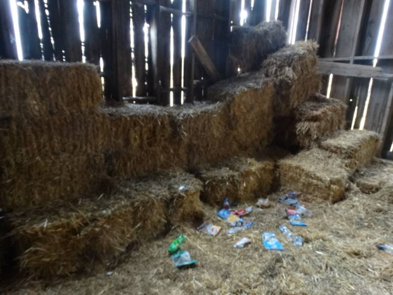 lot 7956 image: All square straw bails in barn