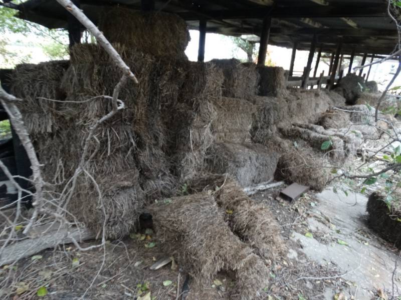 lot 7961 image: Large amount of straw bails
