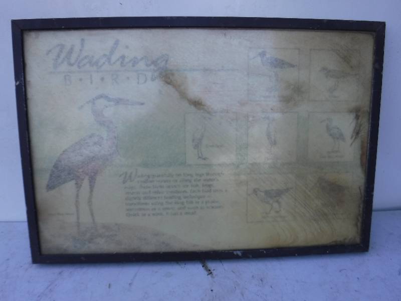 lot 6856 image: Hillsdale lake info picture heavy frame