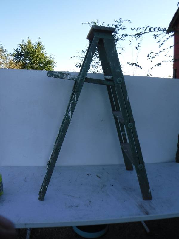 lot 6857 image: Painters ladder