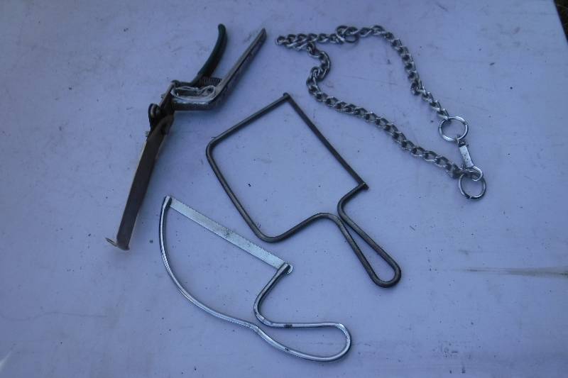 lot 7541 image: Clippers, bread knives and a dog chain collar